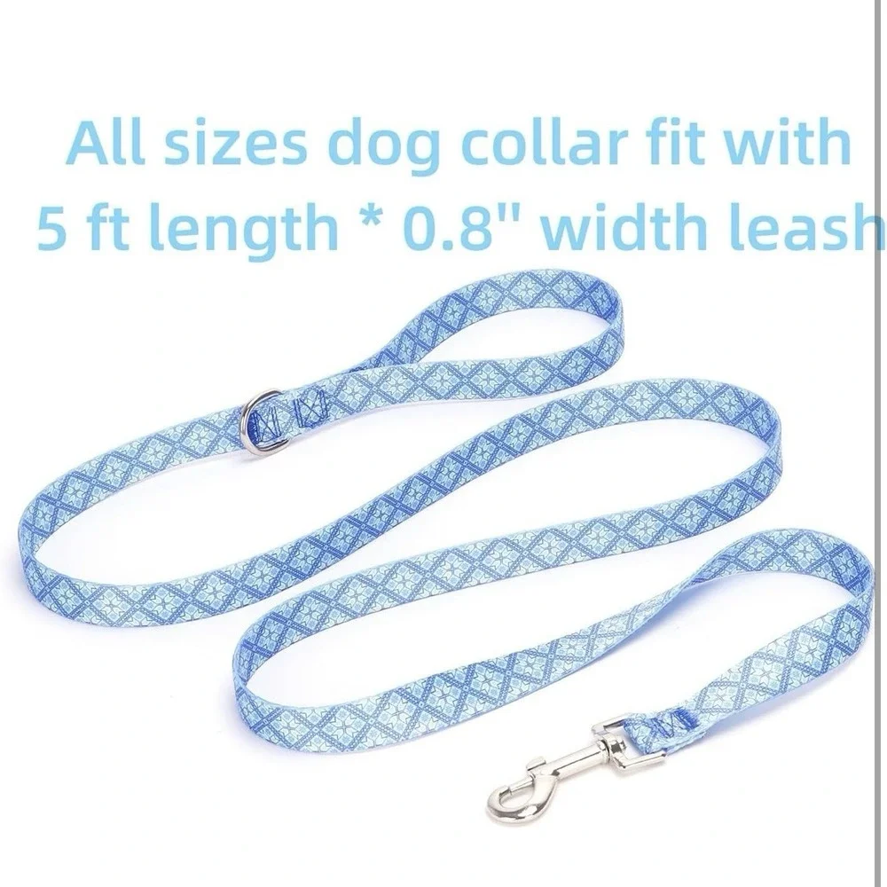 Moonpet Dog Collar with‎ Leash Airtag Holder Case Set (size M) Blue